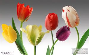 Tranh bếp những bông tulip đầy màu sắc