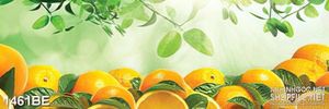 Tranh psd bếp khu vườn cam tươi