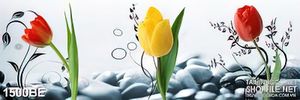 Tranh psd bếp những bông hoa tulip xinh đẹp