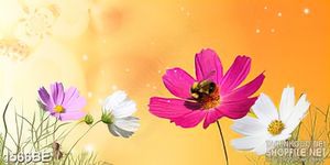 Tranh psd bếp những bông hoa trong nắng