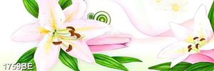 Tranh in kính bông hoa ly trắng ốp tường bếp