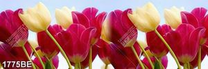 Tranh trang trí bếp hoa tuy líp đẹp