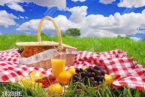 Tranh tiệc picnic dưới bầu trời xanh treo tường bếp