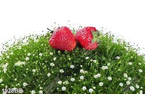Tranh 2 trái dâu tây đặt trên bông hoa nhỏ trang trí tường bếp