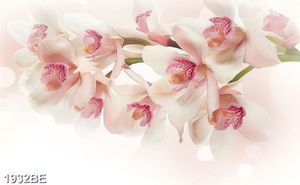 Tranh treo tường bếp cành hoa lan đẹp