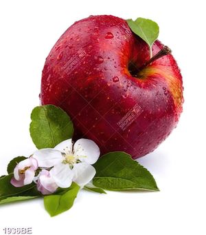 Tranh trang tri tường bếp trái táo đỏ tươi ngon