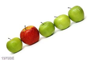 Tranh những trái táo tươi treo tường bếp