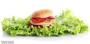 Tranh bếp bánh mỳ Hambeger đặt trên rau xà lách