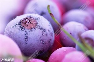 Tranh trái cây chín trên tường bếp