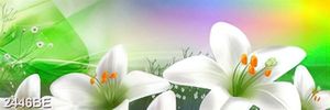 Tranh in kính bông hoa ly trắng treo tường bếp