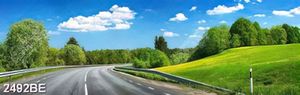 Tranh trang trí bếp con đường xuyên qua rừng xanh