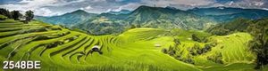 Tranh bếp cánh đồng ruộng bậc thang