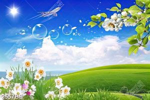 Tranh treo tường bếp bầu trời hoa lá tươi đẹp