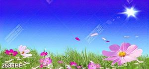 Tranh kính treo tường bếp hoa cỏ tươi đẹp