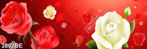 Tranh in kính hoa hồng đỏ và trắng treo tường bếp