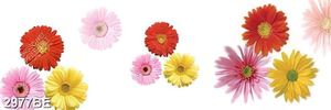 Tranh gạch ốp bếp những bông hoa sắc màu