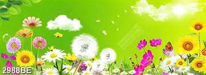 Tranh kính 3D các loại hoa nở ốp tường bếp