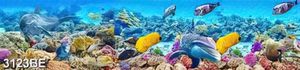 Tranh bếp cá heo đại dương