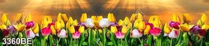 Tranh khổ ngang treo bếp hoa Tulip đa sắc