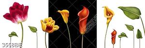 Tranh gạch những bông hoa đẹp ốp tường bếp