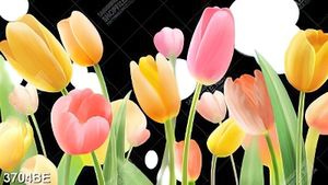 Tranh kính 3D những bông hoa tulip ốp tường bếp
