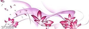 Tranh kính 3d hoa tím trên nền trắng ốp tường bếp