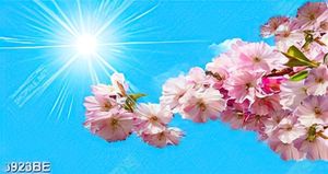 Tranh cành hoa nở dưới bầu trời xanh trang trí tường bếp