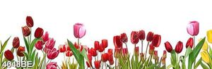 Tranh sắc màu hoa tulip treo tường bếp đẹp