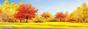 Tranh khổ ngang mùa thu vàng trang trí nhà bếp