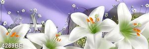 Tranh kính 3d bông hoa ly trắng trên nền tím ốp tường bếp