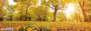 Tranh canvas khu rừng mùa thu đẹp treo tường bếp