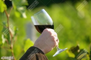 Tranh tay cầm ly rượu vang treo tường bếp