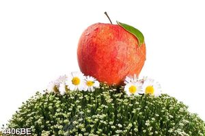 Tranh trang tri tường bếp đẹp bông hoa nhỏ và trái táo đỏ