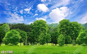 Tranh canvas khu rừng xanh trang trí tường bếp