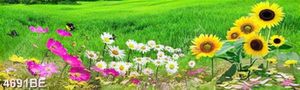 Tranh khổ ngang cánh đồng cỏ và hoa treo tường bếp