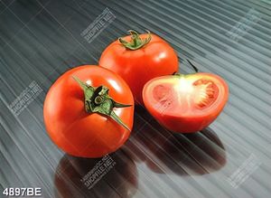 Tranh treo bếp những trái cà chua chín đỏ