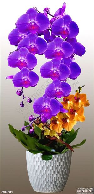 Tranh bình hoa lan tím ấn tượng in uv