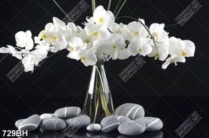Tranh bình hoa in uv những bông hoa phong lan màu trắng