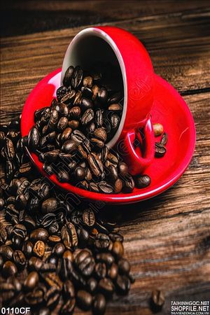 Tranh những hạt cà phê đổ trong tách ly đỏ