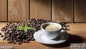 Tranh ly cà phê cappuccino bên ngọn rau húm chanh