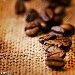 Tranh treo tường hạt cà phê