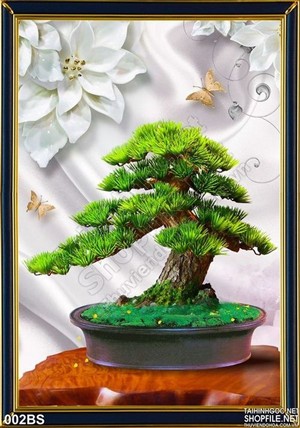 Tranh bonsai cây tùng ấn tượng