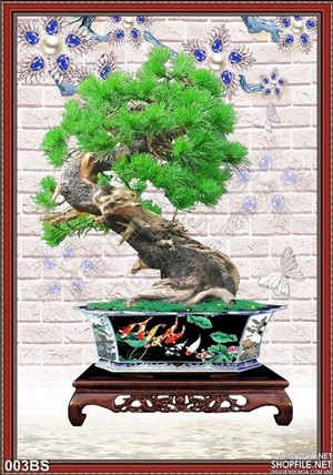 Tranh bonsai nghệ thuật psd