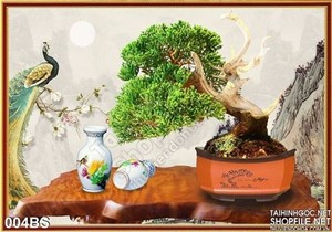 Tranh bonsai khổ ngang chim công đẹp