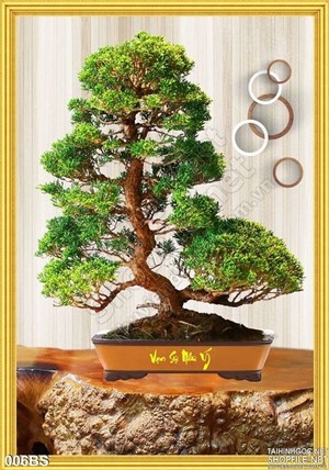 Tranh bonsai nghệ thuật vạn sự như ý
