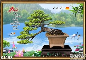 Tranh bonsai nghệ thuật chữ phúc