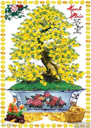 Tranh bonsai hoa mai hạnh phúc