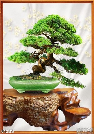 Tranh bonsai nghệ thuạt và cá bàn gỗ