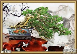 Tranh bonsai tạo dáng nghệ thuật