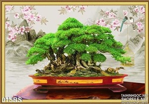 Tranh bonsai nghệ thuật 3d phong cảnh
